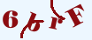 验证码